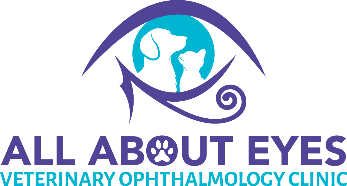 All About Eyes Veterinary Ophthalmology